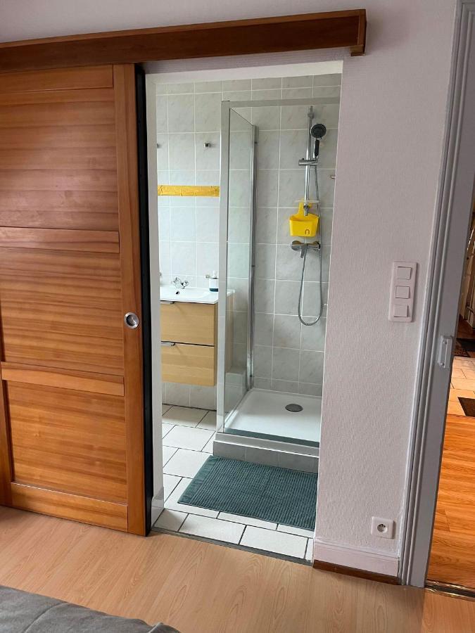 Ferienwohnung Chez Carine Schiltigheim Exterior foto
