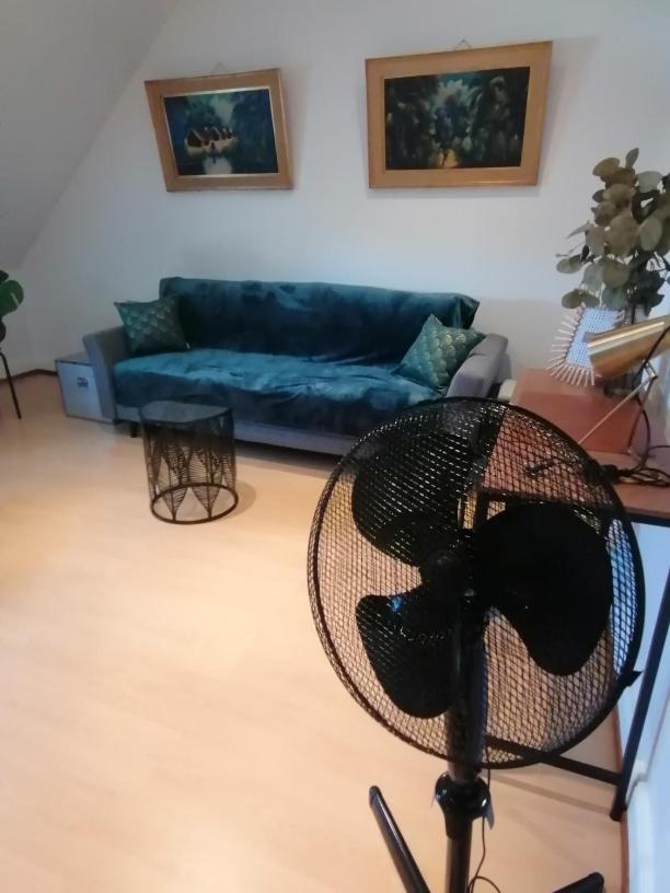 Ferienwohnung Chez Carine Schiltigheim Exterior foto