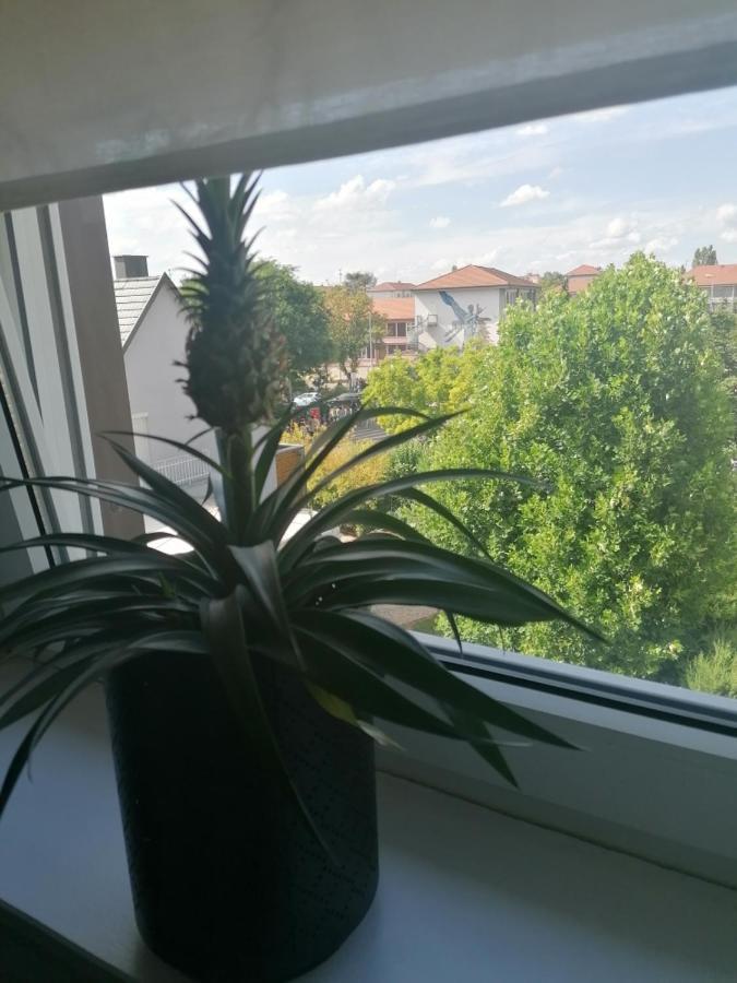 Ferienwohnung Chez Carine Schiltigheim Exterior foto